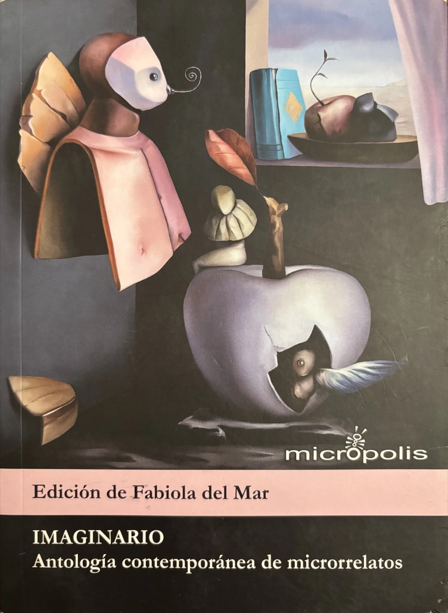 Cubierta de Imaginario